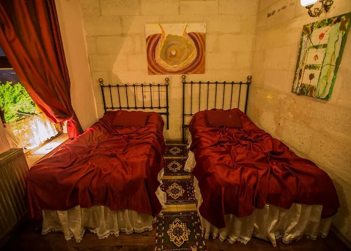 卡利克艾维宾馆 - 特殊类别